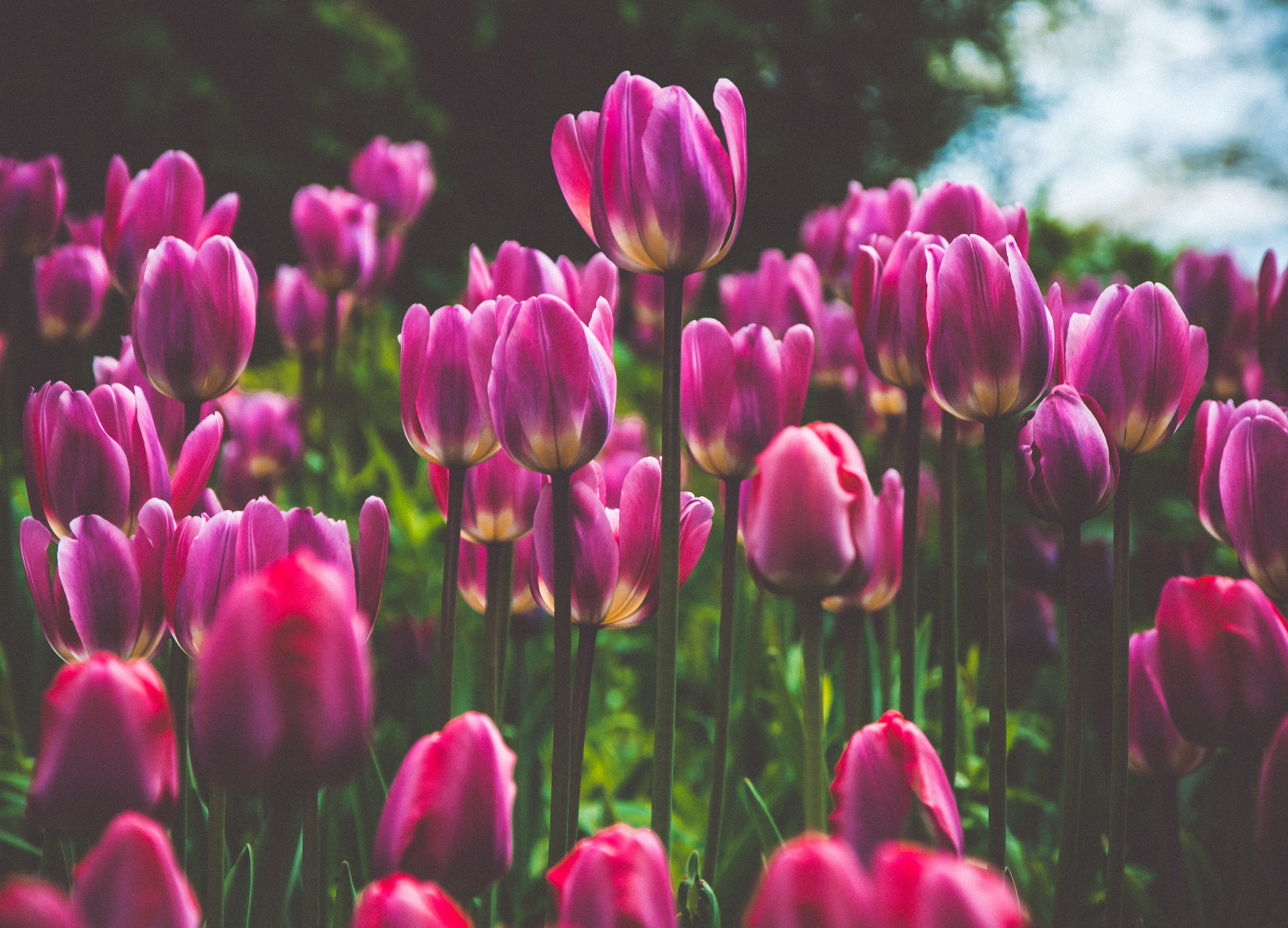 大人の夜を充実させる飲食店